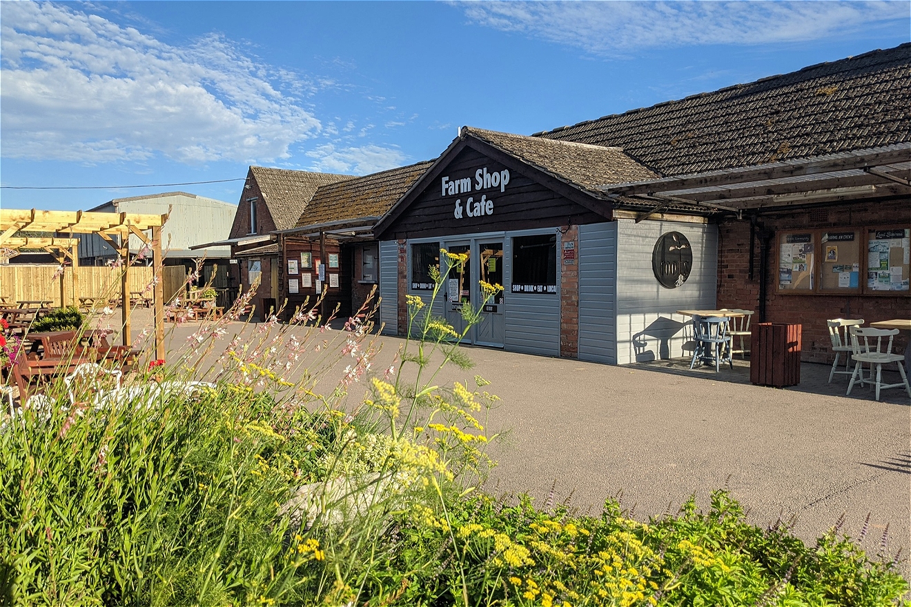 Roots at Thorpe Farm